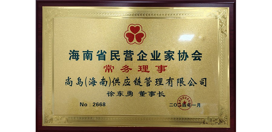 海南省民营企业家协会常务理事